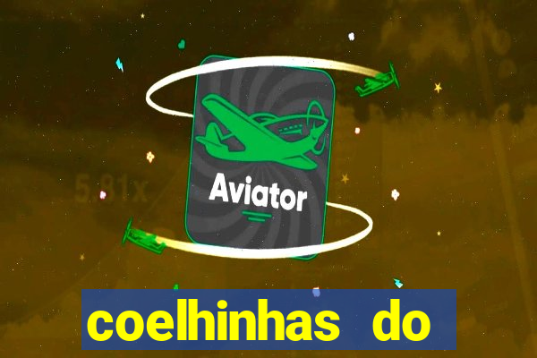 coelhinhas do brasil acompanhantes